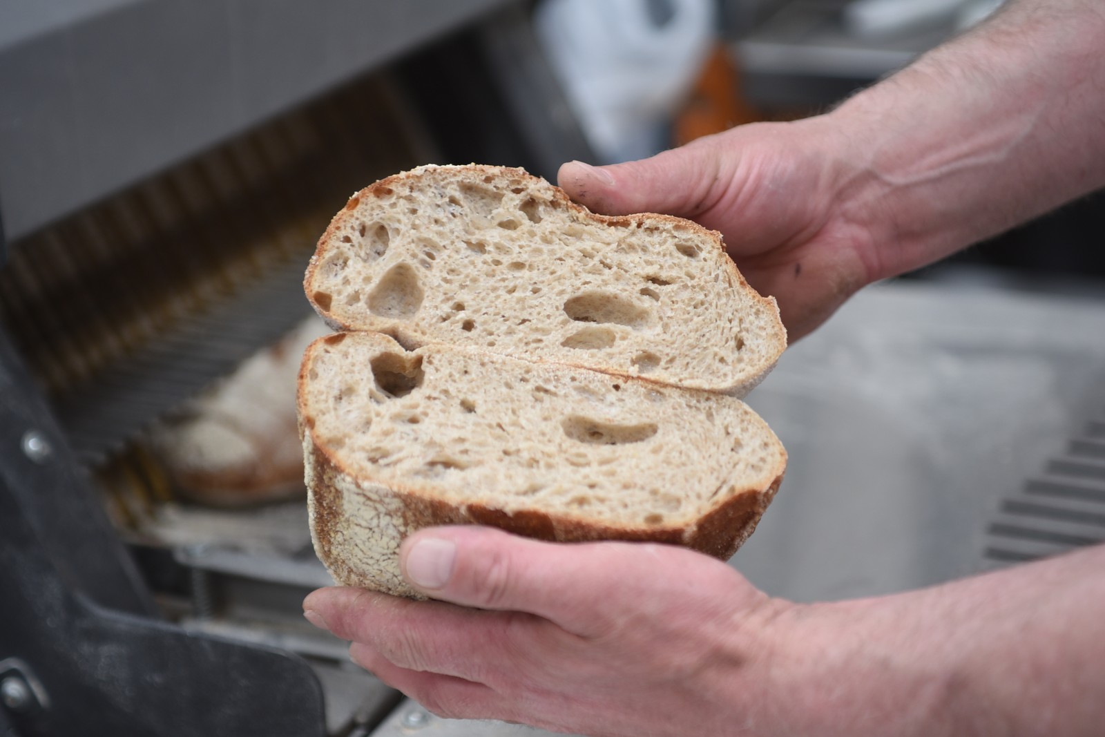 Fresh cut sourdough